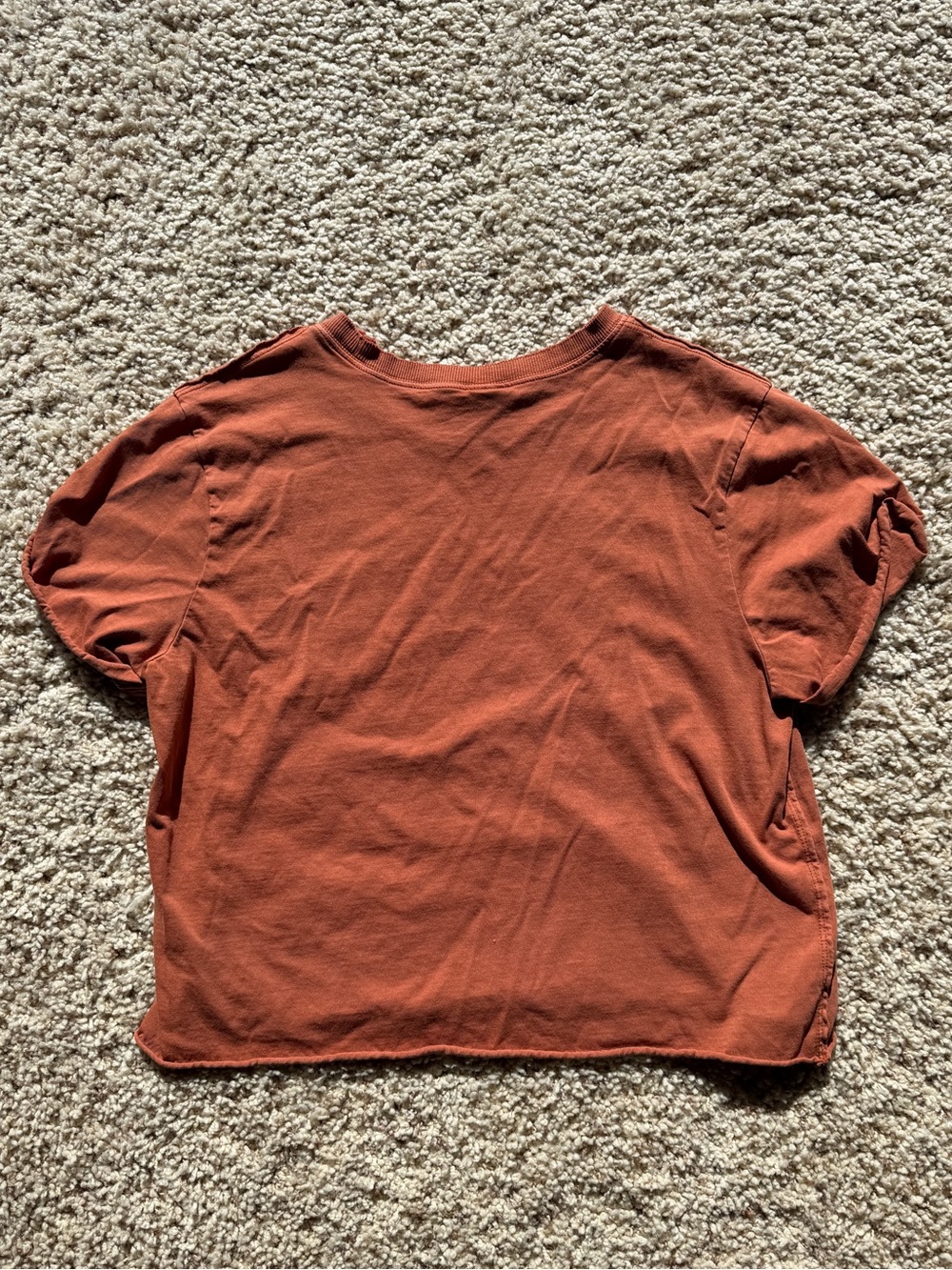 Wild Fable Rust Tee - Picture 3 of 3